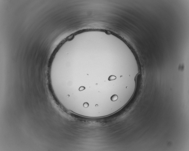 X0000113741085200910211119