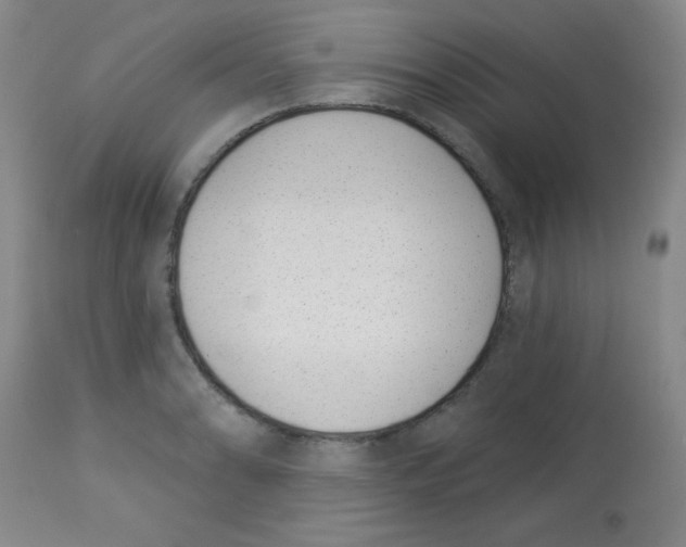 X0000113741086200910211119