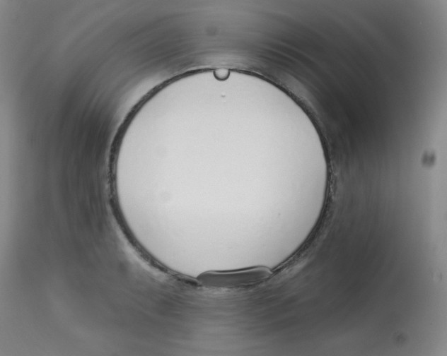 X0000113741087200910211119