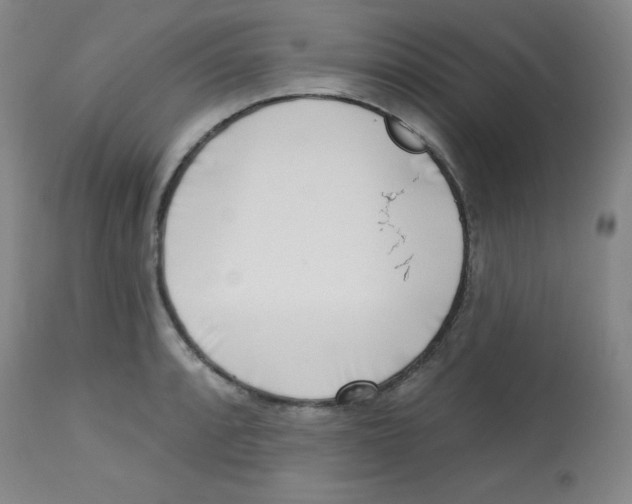 X0000113741088200910211119