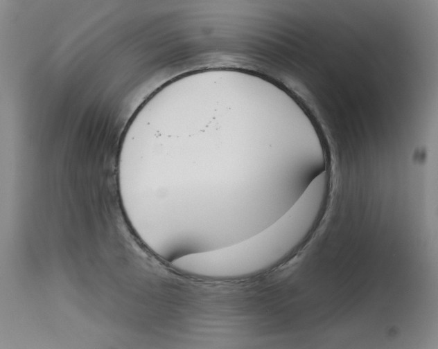 X0000113741089200910211119
