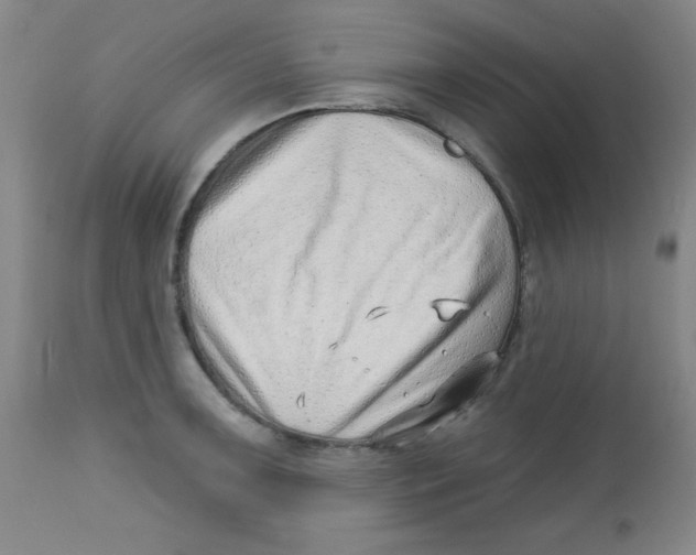 X0000113741091200910211119