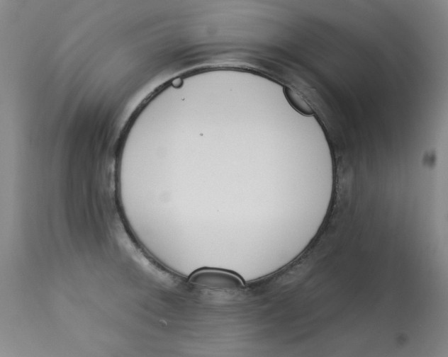X0000113741092200910211119