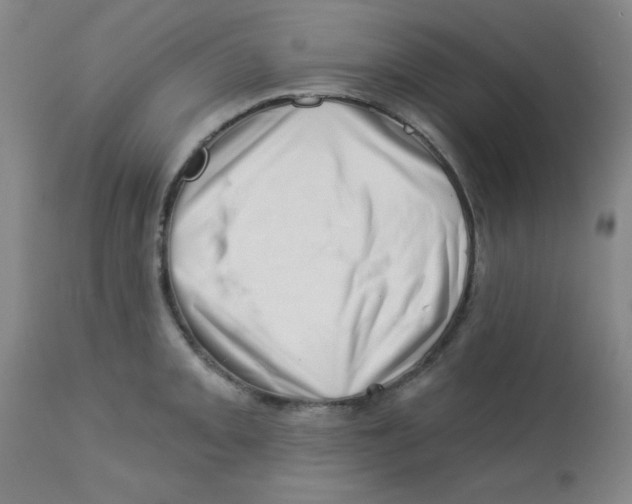 X0000113741093200910211119