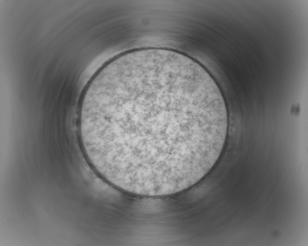 X0000113741094200910211119