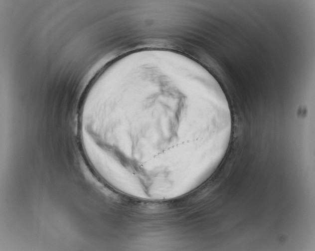 X0000113741095200910211119