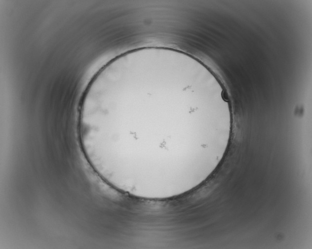 X0000113741096200910211119
