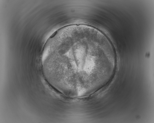 X0000113741097200910211119