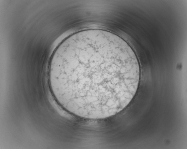 X0000113741098200910211119