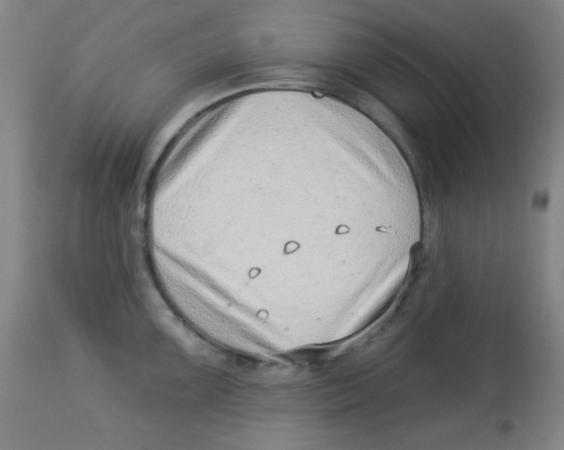 X0000113741099200910211119