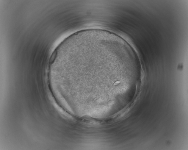 X0000113741101200910211119