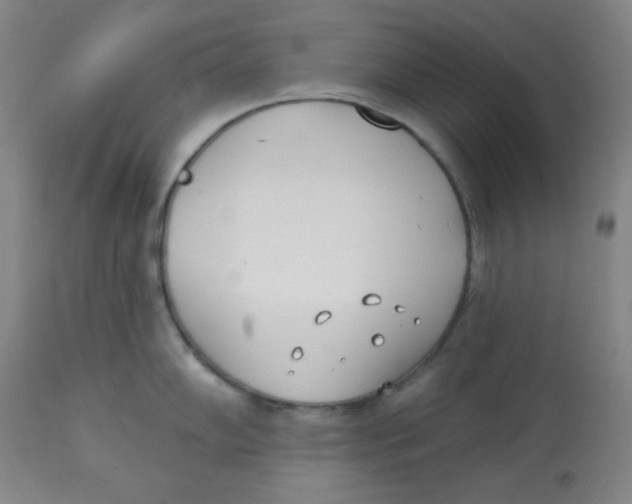 X0000113741102200910211119