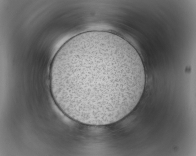 X0000113741103200910211119