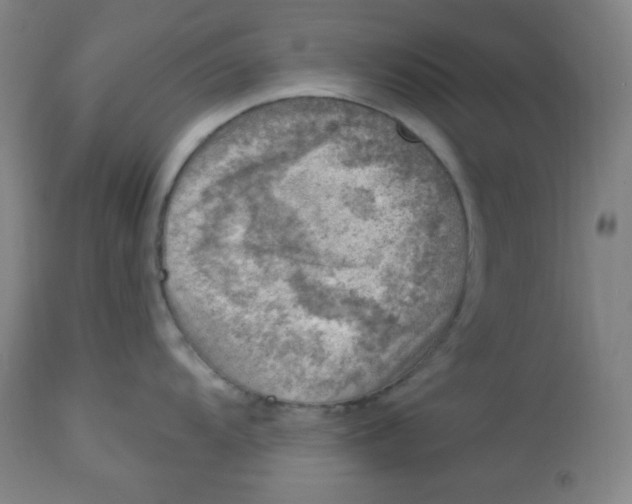 X0000113741104200910211119