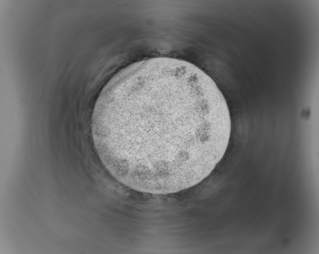X0000113741105200910211118
