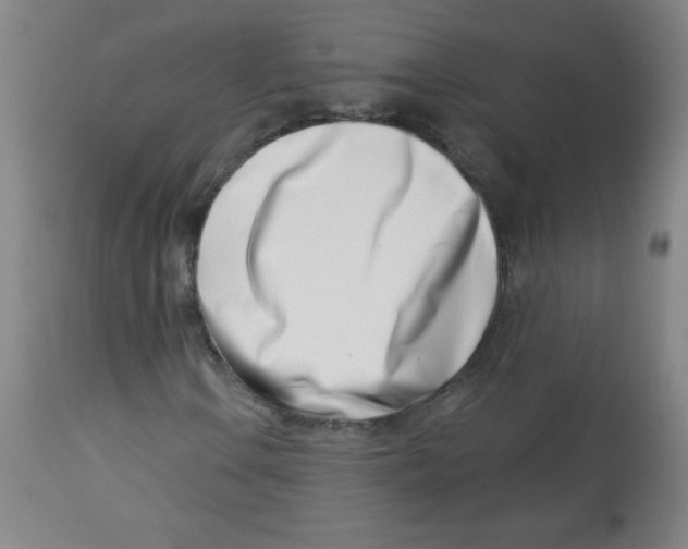 X0000113741106200910211118