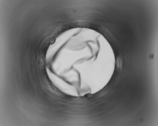 X0000113741107200910211118