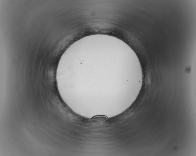 X0000113741108200910211118