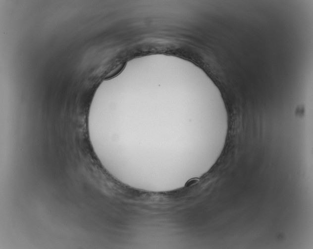 X0000113741109200910211118