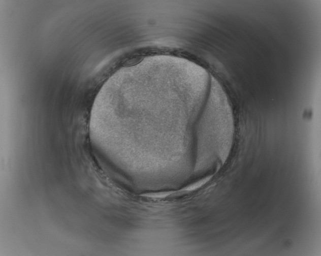 X0000113741110200910211118