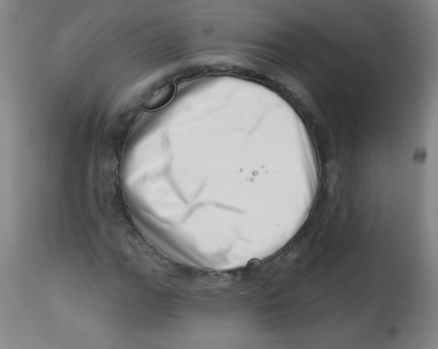 X0000113741111200910211118