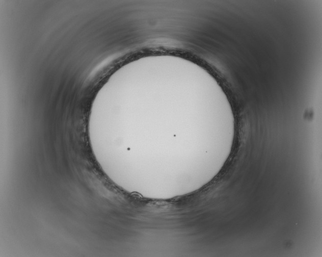 X0000113741112200910211118