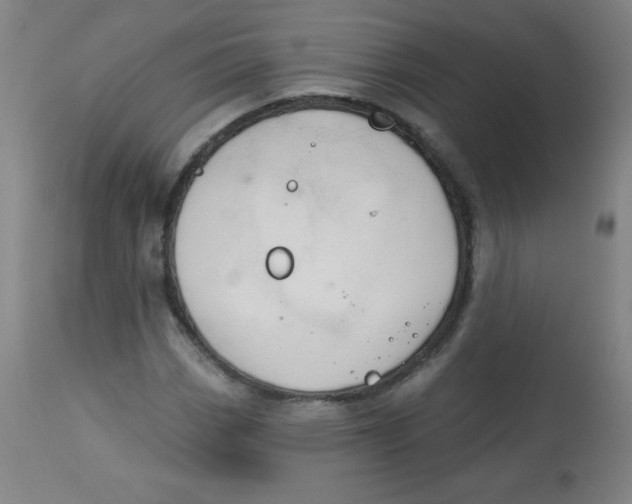 X0000113741113200910211118