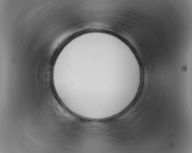 X0000113741115200910211118