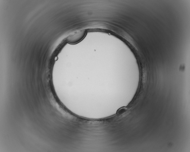 X0000113741116200910211118
