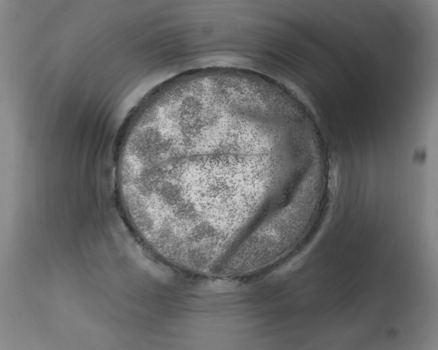 X0000113741117200910211119