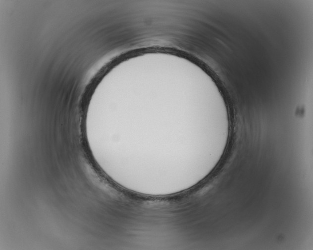 X0000113741118200910211119