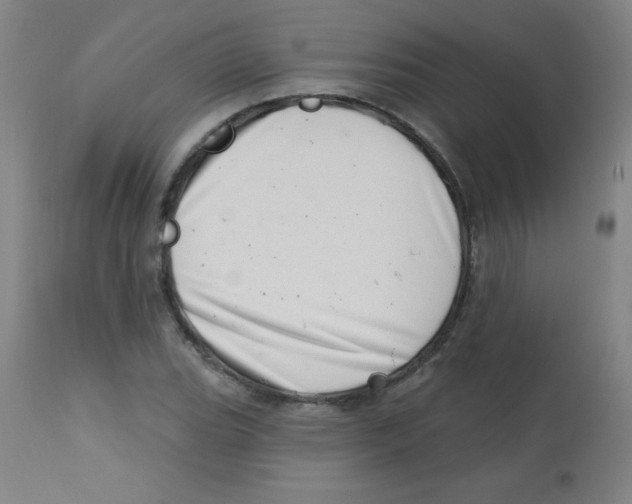 X0000113741119200910211119