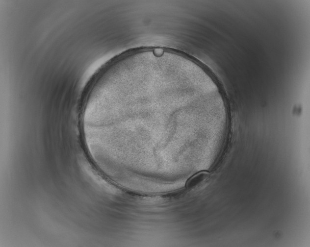X0000113741120200910211119