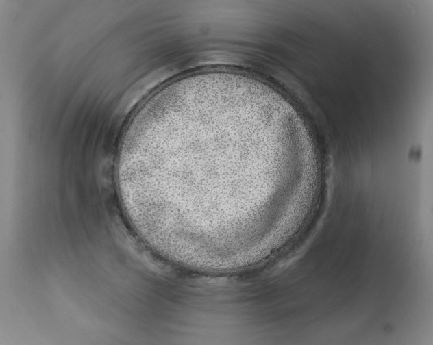 X0000113741121200910211119