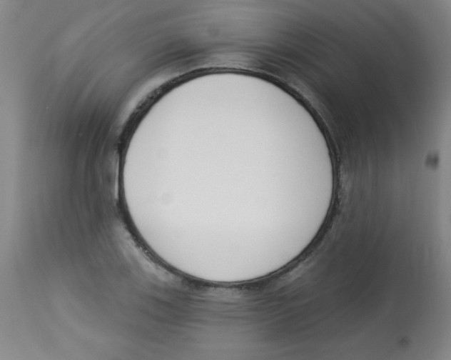 X0000113741123200910211119