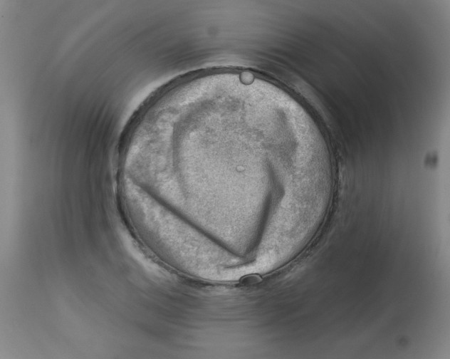 X0000113741124200910211119