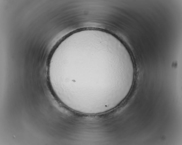 X0000113741125200910211119