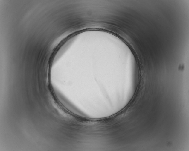 X0000113741127200910211119