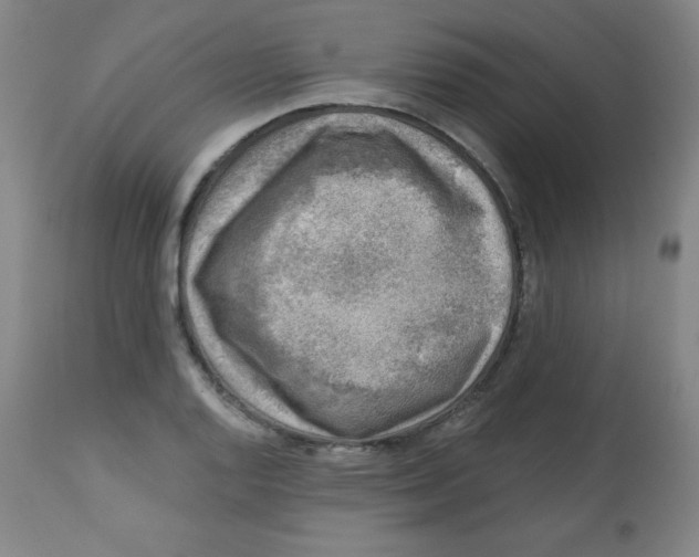 X0000113741128200910211119
