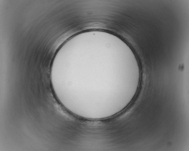X0000113741129200910211119