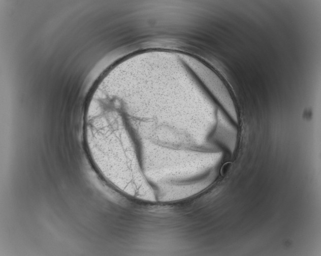 X0000113741131200910211119