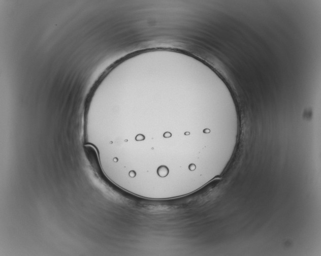 X0000113741132200910211119