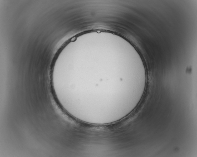X0000113741133200910211119