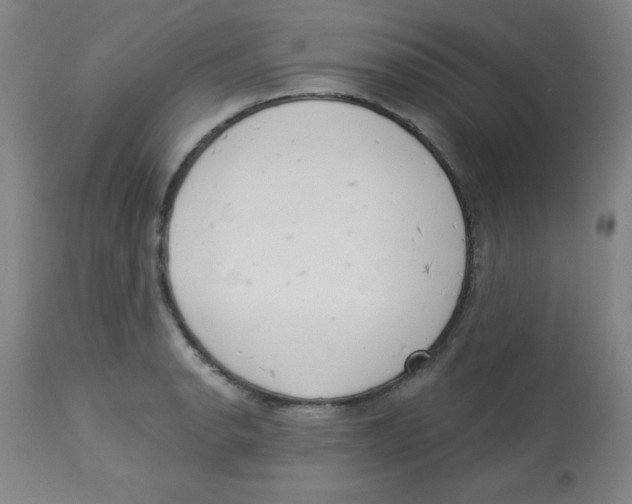 X0000113741134200910211119