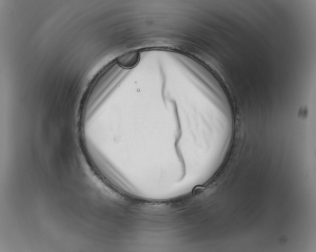 X0000113741135200910211119
