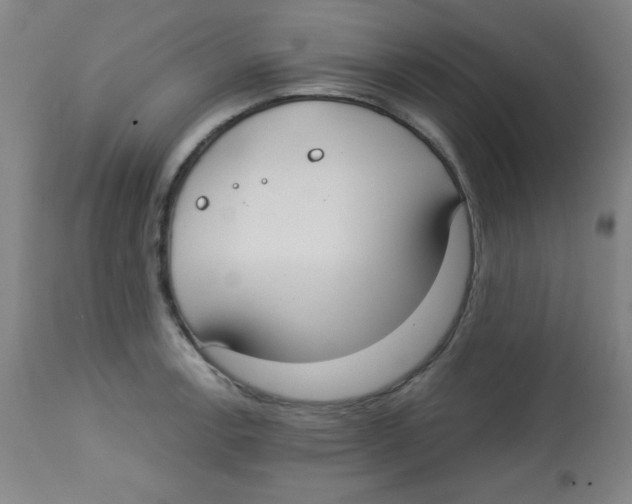 X0000113741138200910211119