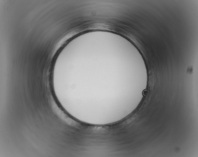 X0000113741139200910211119