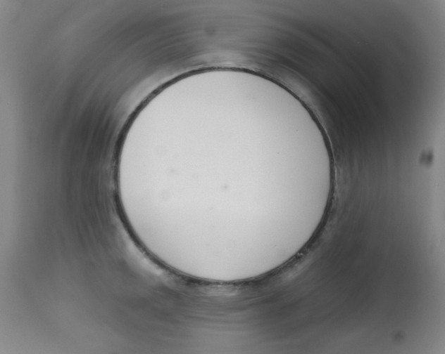 X0000113741141200910211119