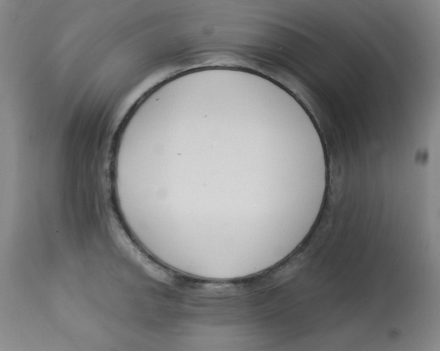 X0000113741142200910211119