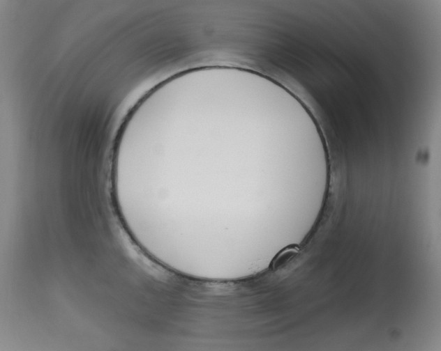 X0000113741144200910211119